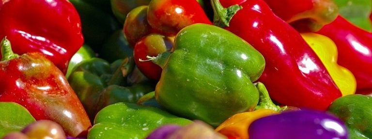 Vegan-Peppers_0001